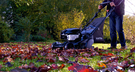 Person cutting grass