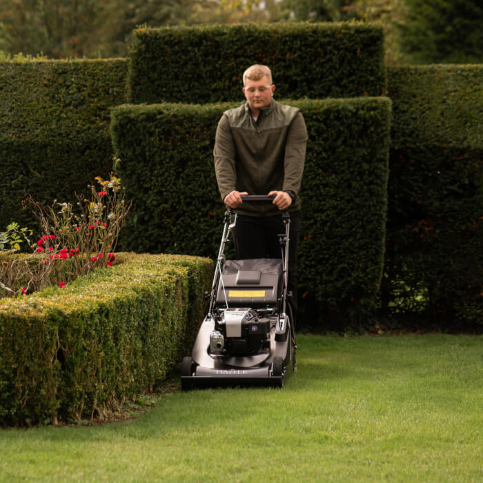 A landscaper carefully guiding the Hayter Harrier 56 Pro along the edges of a hedge-lined lawn. The mower’s precision control and powerful engine make it ideal for professional grounds maintenance in formal gardens.